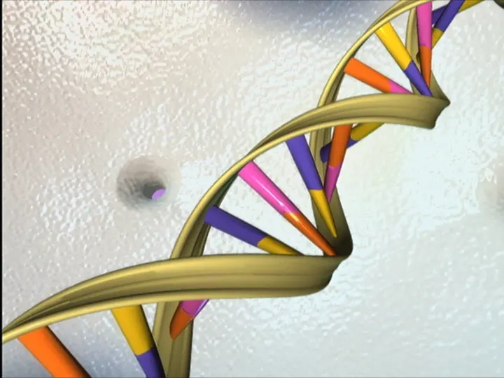 Sancar spent decades mapping the molecular repair crews that keep our DNA from falling apart. — Photo: National Institutes of Health (NIH) (PDM 1.0), via flickr