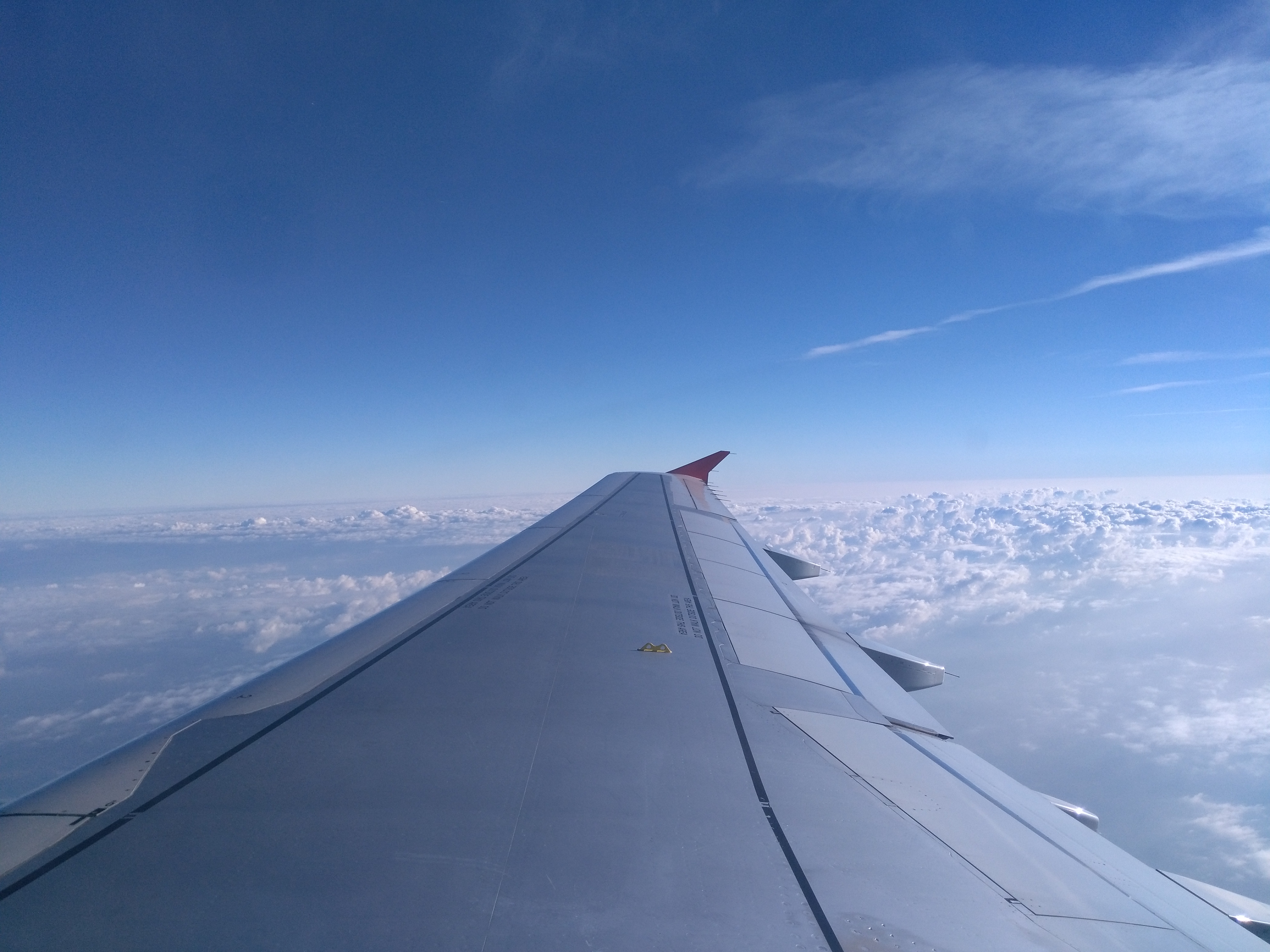 The Rise of 'Flight Shame': How a Swedish Movement Is Changing Global Travel
